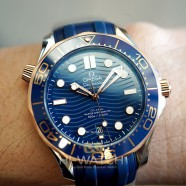 NEW!! Omega Seamaster Diver 300M Sedna™ Gold 18K Master Co-Axial Blue Dial 42 mm (NEW 01/2021)
