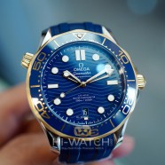 NEW!! Omega Seamaster Diver 300M Steel-Yellow Gold 18K Master Co-Axial Blue Dial 42 mm (NEW 03/2021)