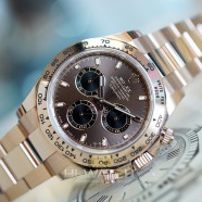 Rolex Cosmograph Daytona Full Everose Gold Chocolate Dial 40 mm Ref.116505 (10/2021)