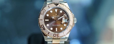 Rolex Yacht-Master Everose Gold Chocolate Dial 37 mm Ref.268621 (Thai AD 09/2024)