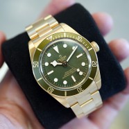 Black Bay 58 18K 39 mm Ref.m79018v-0006 (02/2025)